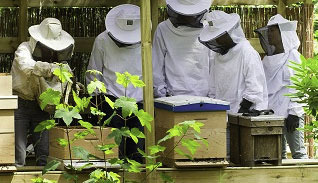 Keurmeester Bijenproducten